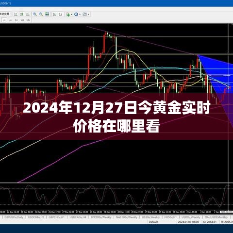 2024年黃金實(shí)時(shí)價(jià)格查詢指南