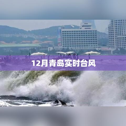 第3頁