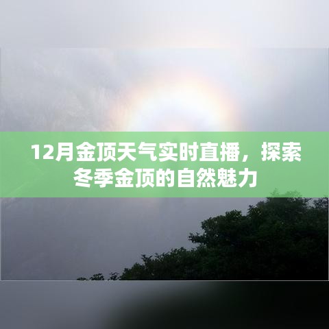 冬季金頂實時直播，探索自然魅力的絕佳之地