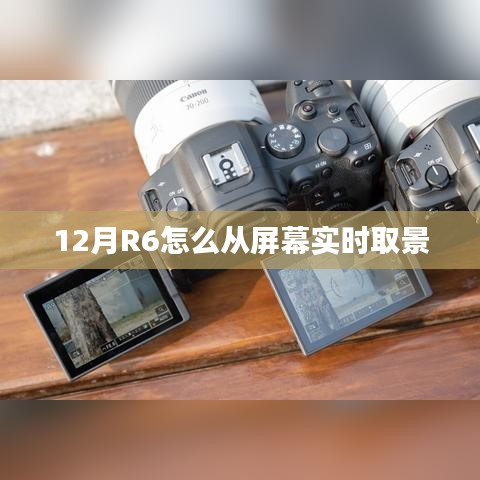 R6相機屏幕實時取景方法解析