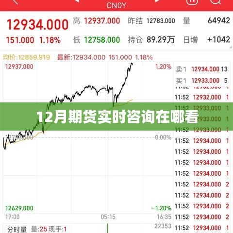 12月期貨實(shí)時(shí)咨詢查看指南
