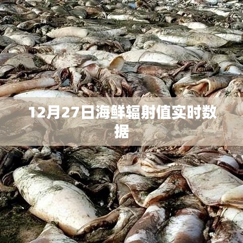 海鮮輻射值實(shí)時(shí)數(shù)據(jù)更新（最新報(bào)告）