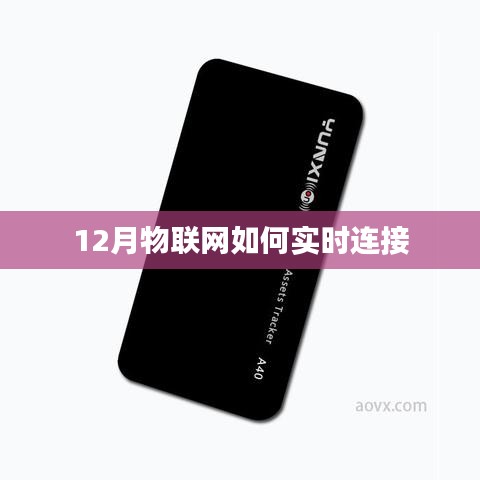 物聯(lián)網(wǎng)實時連接技術解析，12月最新進展