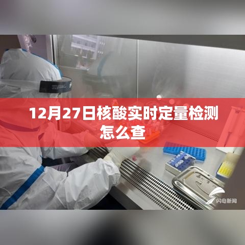 核酸實(shí)時(shí)定量檢測查詢方法指南