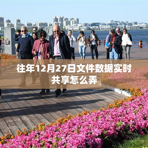 年終文件數(shù)據(jù)實時共享指南，如何操作往年12月27日文件數(shù)據(jù)共享