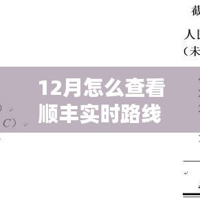 順豐實時路線查詢攻略，12月版
