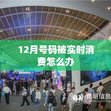 12月實時消費號碼處理攻略