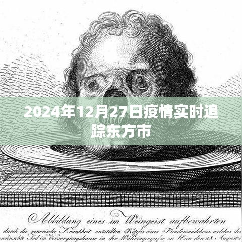 東方市疫情實(shí)時(shí)追蹤報(bào)告，最新數(shù)據(jù)及分析