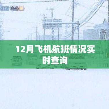 12月飛機航班實時查詢情況更新