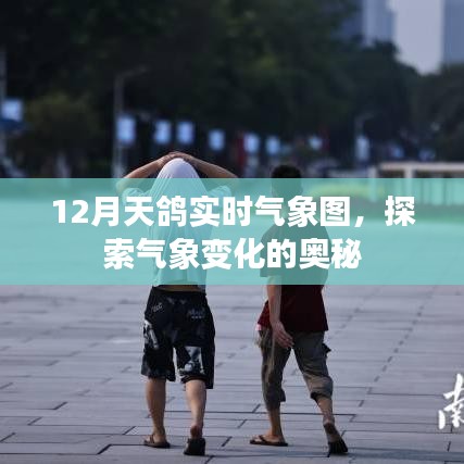 12月天鴿實(shí)時(shí)氣象圖，揭秘氣象變化奧秘