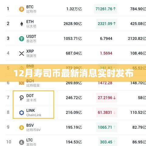 12月壽司幣最新動態(tài)實時播報