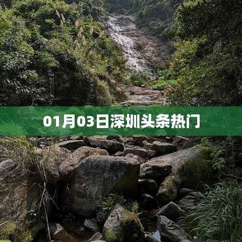 風(fēng)流倜儻