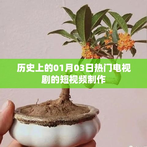 熱門電視劇短視頻制作盤點(diǎn)，歷史上的那些日子