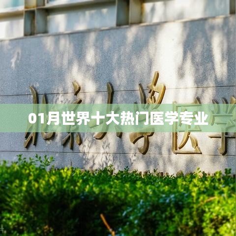 全球熱門醫(yī)學(xué)專業(yè)榜單揭曉，一月精選十大專業(yè)