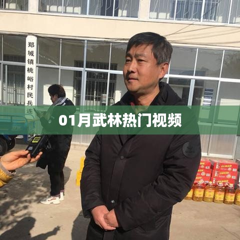 武林熱門視頻大盤點(diǎn)