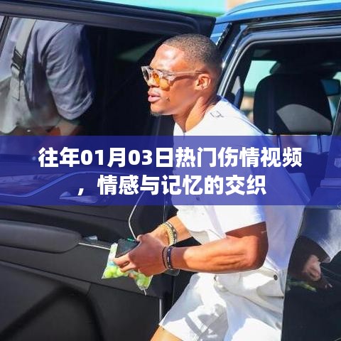 情感交織，歷年熱門傷情視頻回顧