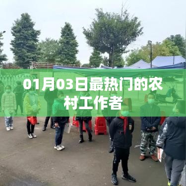 農(nóng)村工作者最新熱點(diǎn)動(dòng)態(tài)，揭秘一月三日熱議話(huà)題