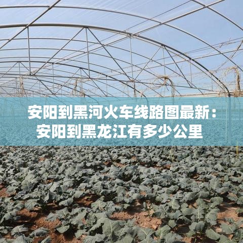 安陽(yáng)到黑河火車線路圖最新：安陽(yáng)到黑龍江有多少公里 