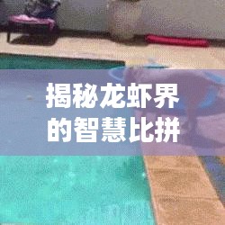 揭秘龍蝦界的智慧比拼，十大智商排名榜單！