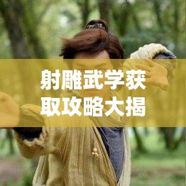 射雕武學(xué)獲取攻略大揭秘，最新秘籍，助你輕松掌握！