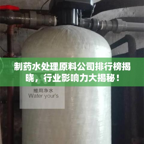 制藥水處理原料公司排行榜揭曉，行業(yè)影響力大揭秘！