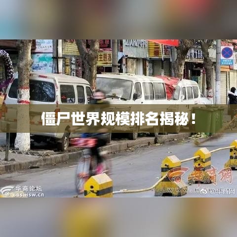 僵尸世界規(guī)模排名揭秘！