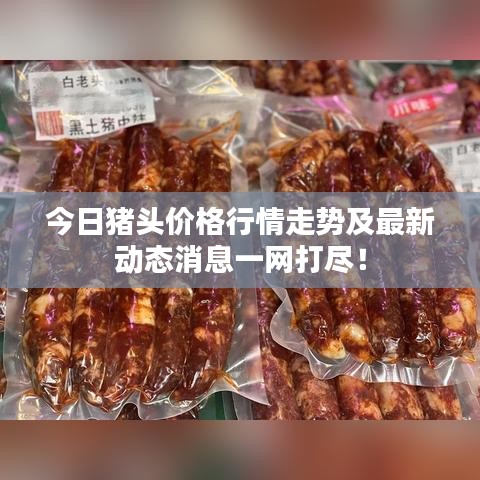今日豬頭價格行情走勢及最新動態(tài)消息一網(wǎng)打盡！
