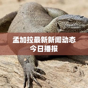 孟加拉最新新聞動態(tài)今日播報(bào)