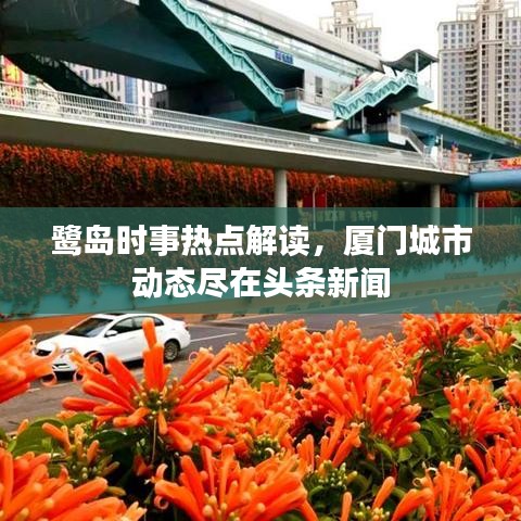 鷺島時(shí)事熱點(diǎn)解讀，廈門城市動態(tài)盡在頭條新聞