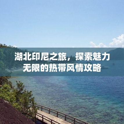 湖北印尼之旅，探索魅力無限的熱帶風(fēng)情攻略