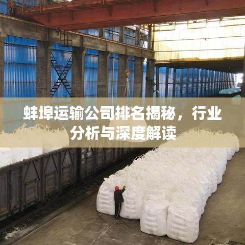 蚌埠運輸公司排名揭秘，行業(yè)分析與深度解讀
