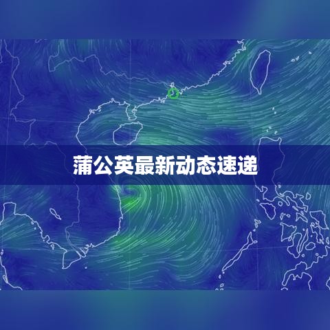 蒲公英最新動(dòng)態(tài)速遞