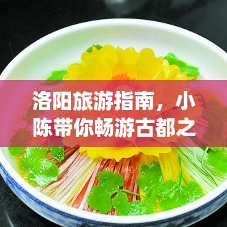 洛陽旅游指南，小陳帶你暢游古都之美