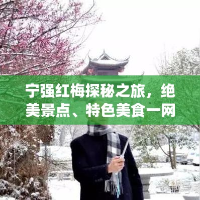 寧強(qiáng)紅梅探秘之旅，絕美景點、特色美食一網(wǎng)打盡！