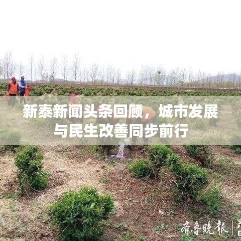 新泰新聞頭條回顧，城市發(fā)展與民生改善同步前行