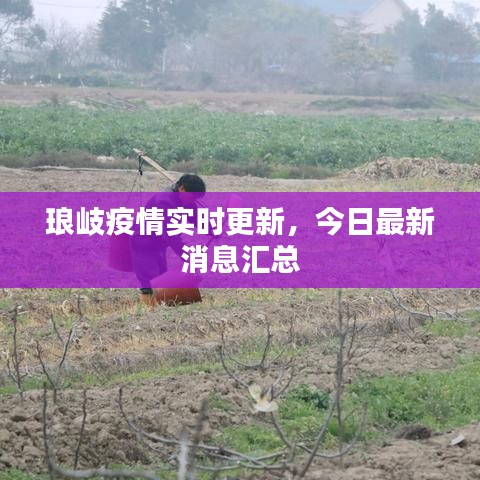 瑯岐疫情實(shí)時更新，今日最新消息匯總