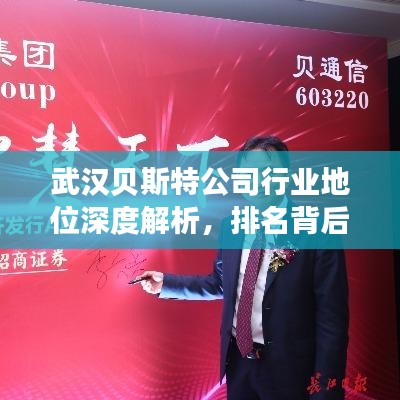 武漢貝斯特公司行業(yè)地位深度解析，排名背后的實力與策略觀察