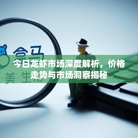 今日龍蝦市場深度解析，價格走勢與市場洞察揭秘