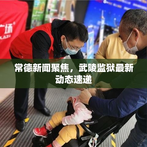 常德新聞聚焦，武陵監(jiān)獄最新動(dòng)態(tài)速遞