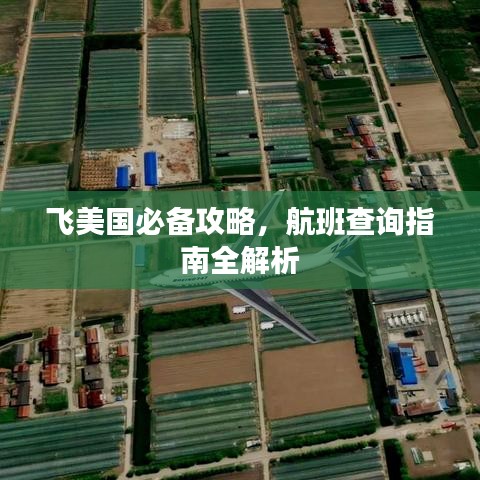 飛美國必備攻略，航班查詢指南全解析