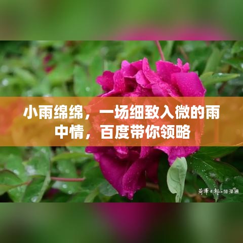 小雨綿綿，一場細(xì)致入微的雨中情，百度帶你領(lǐng)略