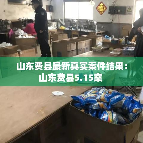 山東費(fèi)縣最新真實(shí)案件結(jié)果：山東費(fèi)縣5.15案 