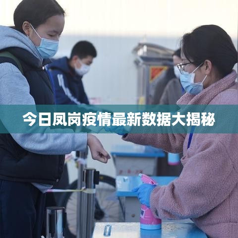 今日鳳崗疫情最新數(shù)據(jù)大揭秘