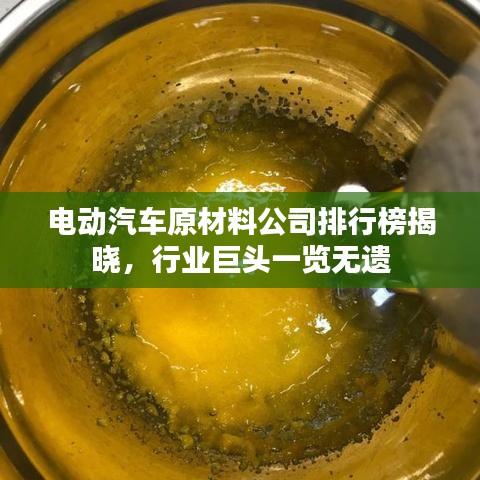 電動(dòng)汽車原材料公司排行榜揭曉，行業(yè)巨頭一覽無遺
