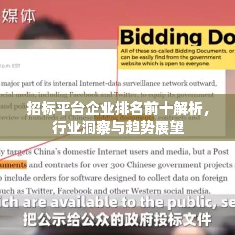 招標(biāo)平臺(tái)企業(yè)排名前十解析，行業(yè)洞察與趨勢(shì)展望