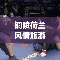 銅陵荷蘭風情旅游攻略，暢游荷蘭路線揭秘