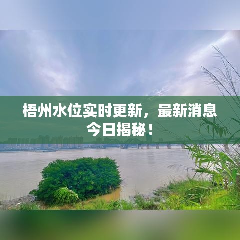 第897頁