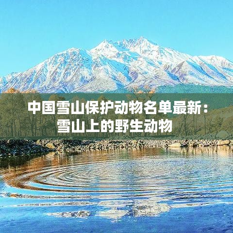 中國(guó)雪山保護(hù)動(dòng)物名單最新：雪山上的野生動(dòng)物 