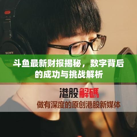 斗魚最新財(cái)報(bào)揭秘，數(shù)字背后的成功與挑戰(zhàn)解析