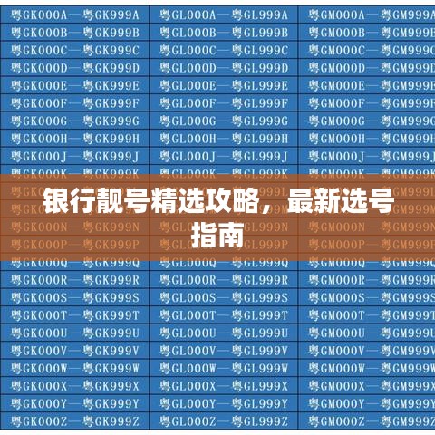 銀行靚號精選攻略，最新選號指南